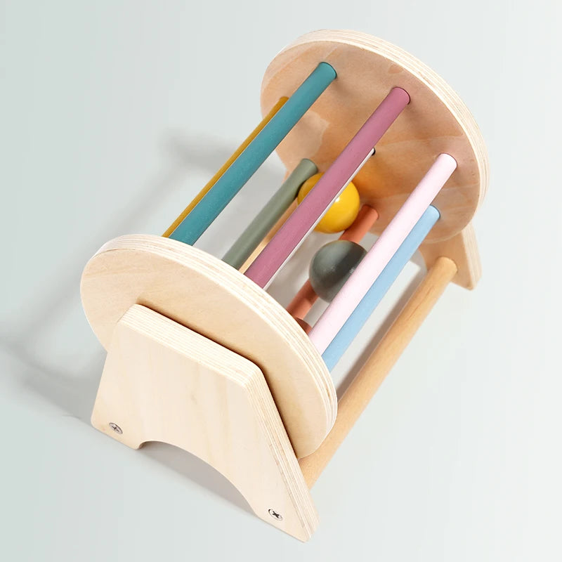 Montessori Wooden Coin & Ball Drum – Sensory & Shape Matching Toy for Babies